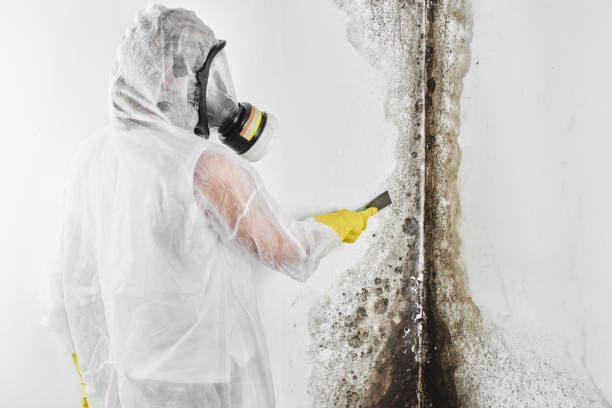 Crawl Space Mold Removal in Burlington, NC